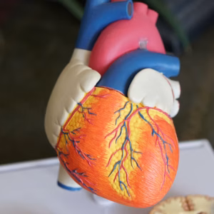 Anatomy & Physiology Atlas